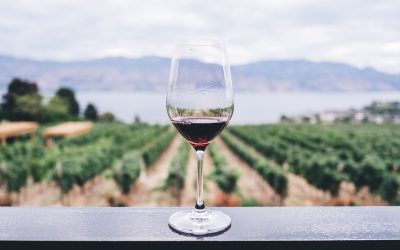 Tracking Wine